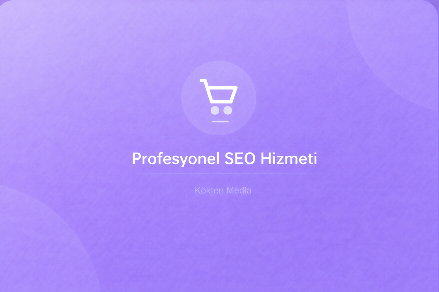 Neden Profesyonel SEO Hizmeti Almalısınız?